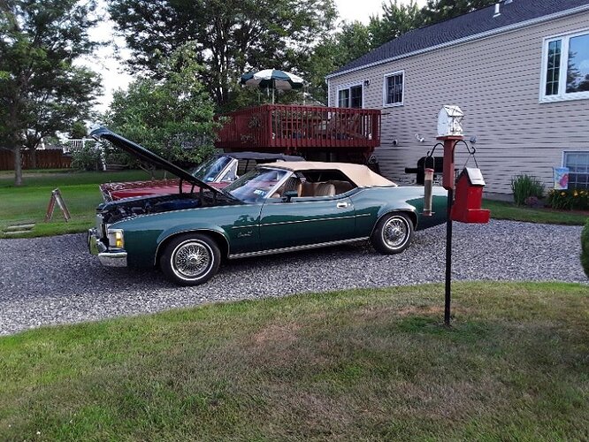 Cougar July 2020.jpg