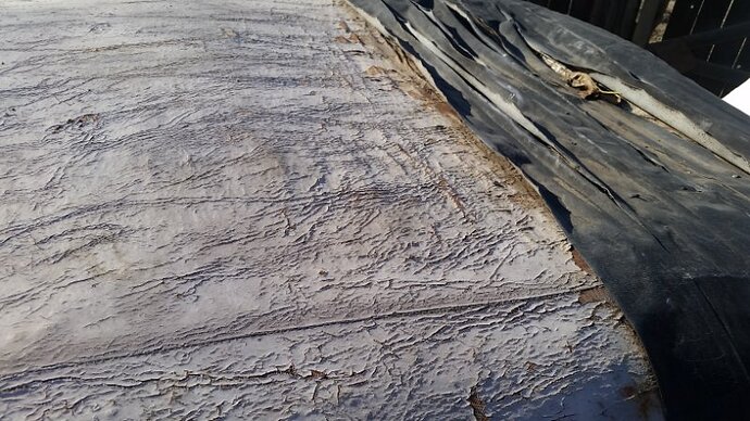 20201130_133949.jpg