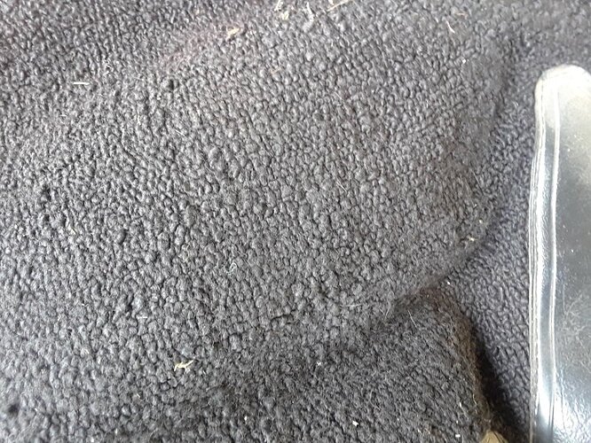 carpet1.jpg