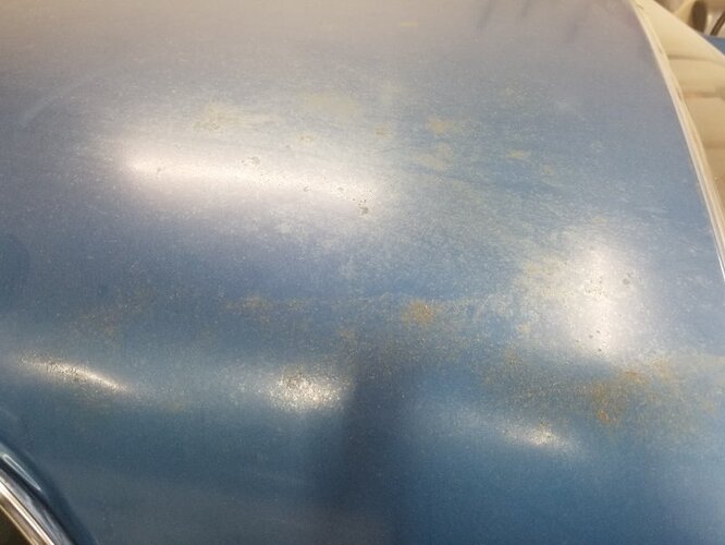 Roof_Driver_Side 1.jpg
