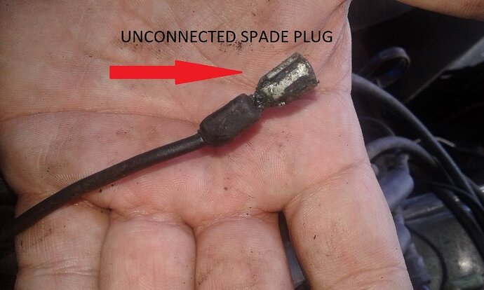 Spade Plug.jpg
