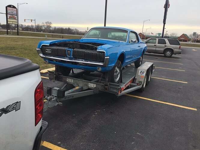 cougar06.jpg