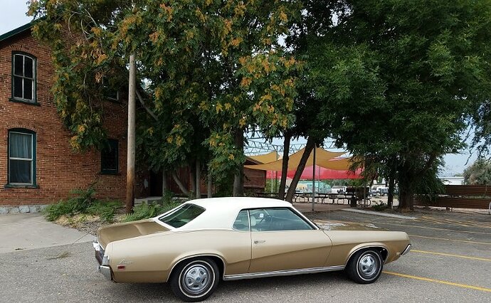 20180823_Cougar3sml.jpg