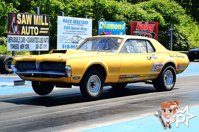 DragCat on the Tree.jpg