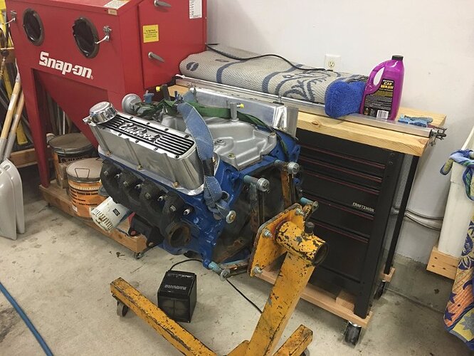 cougar01.jpg