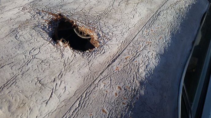 20201130_134419.jpg