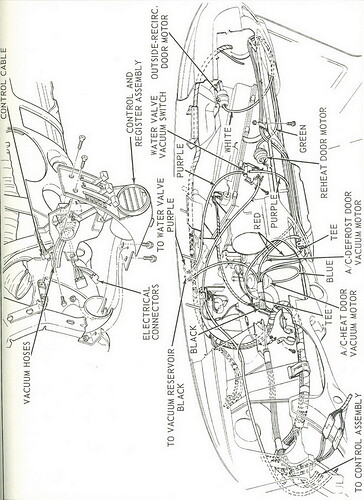 Cougar vacum6.jpg