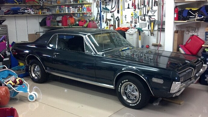 cougar05182012.jpg