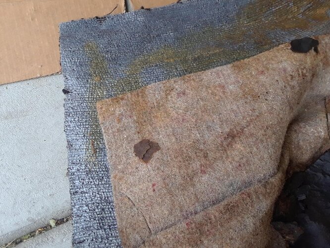 carpet2.jpg