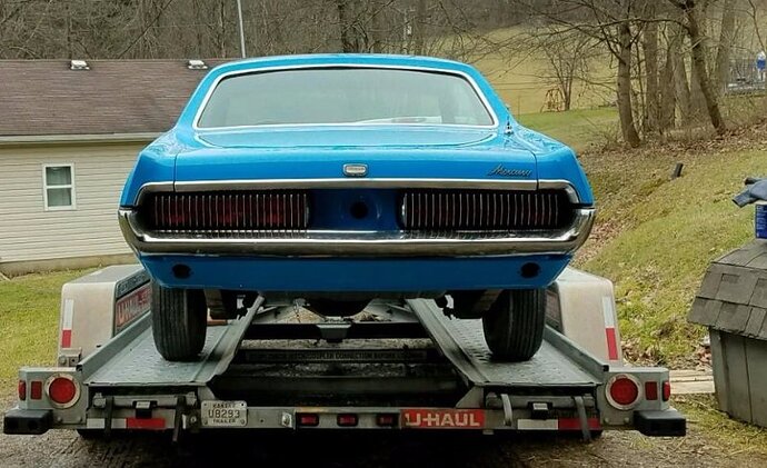 cougar10.JPG