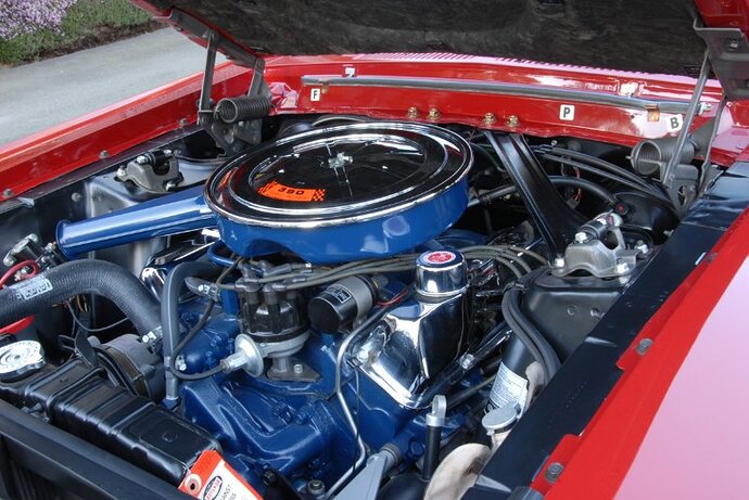Cougar 1.jpg