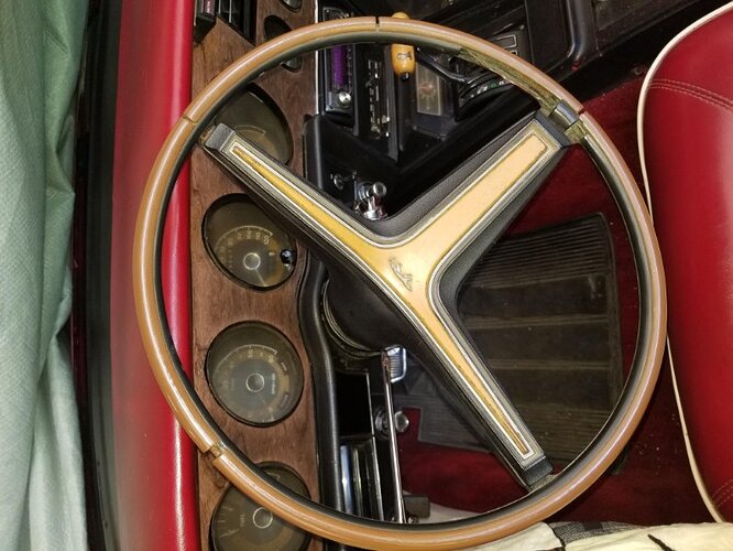 Cougar Steering Wheel.jpg