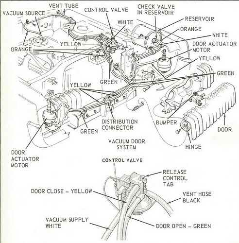 Cougar vacum1.jpg