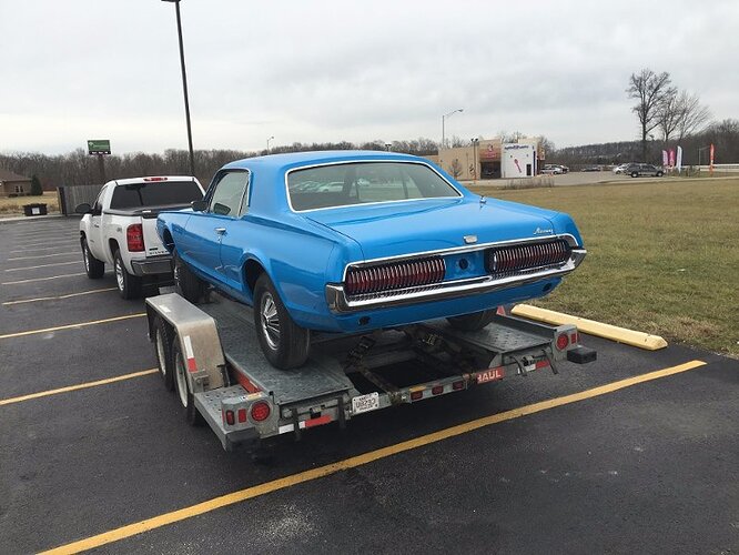 cougar05.jpg