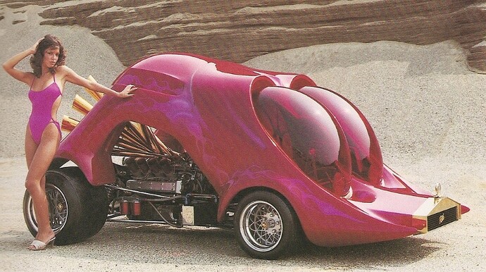 The-RoAcH-CoAcH-by-Ed-Newton-1978-09.jpg