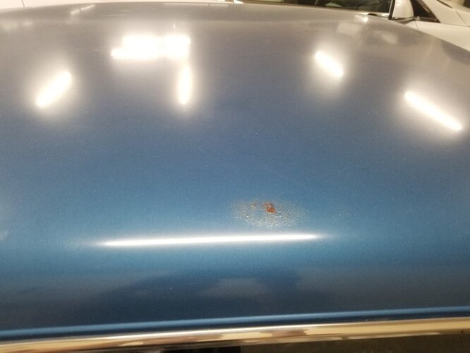 Roof_Driver_Side 3.jpg
