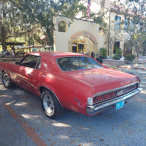 Cougar parked Yalaha