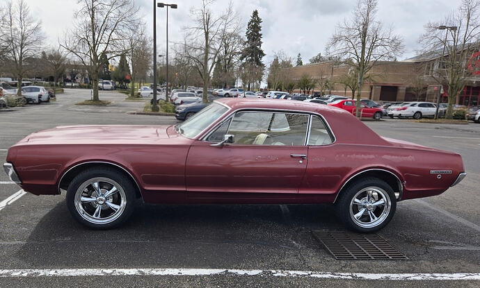 IMG_20250322_133453(1)