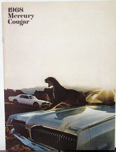 COUGAR AD PHOTO.jpg