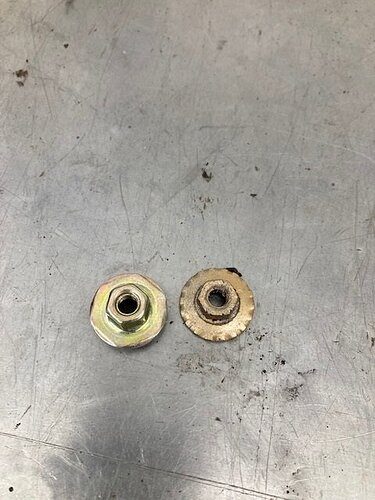 tail lamps aug 7 2021 a.jpg