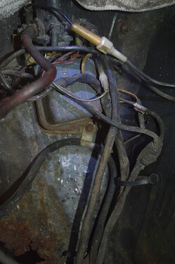 DSC_0196a