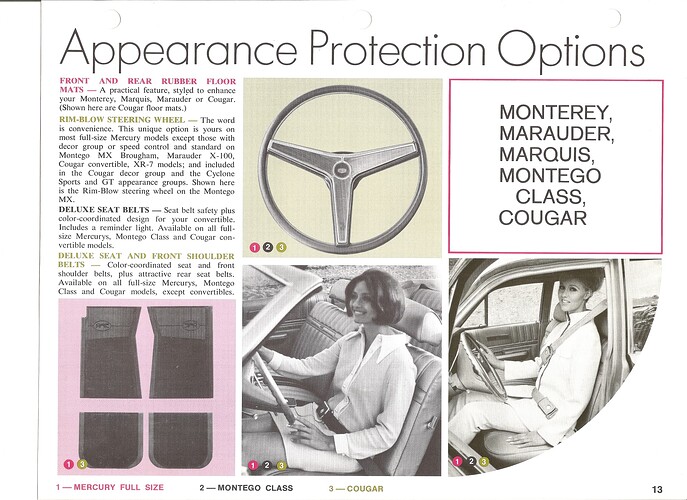 1969 floor mats