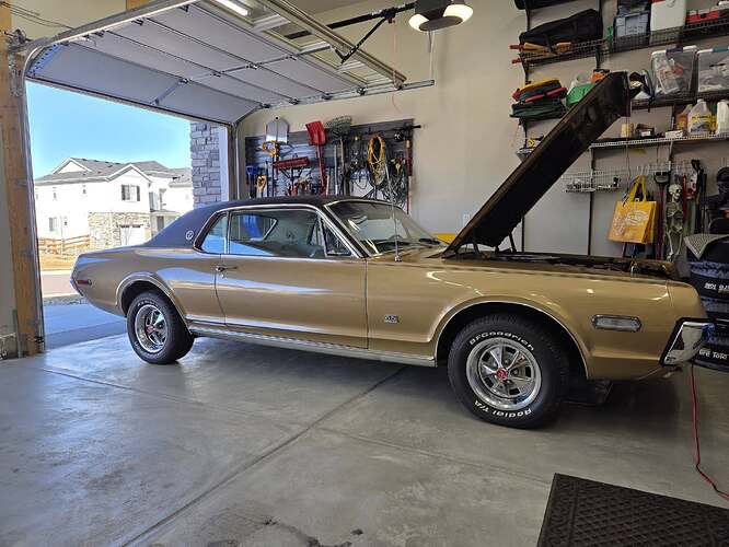 652902282_26498789906382871_9043961454513923553_n