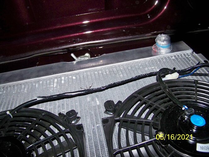 100_0560.JPG