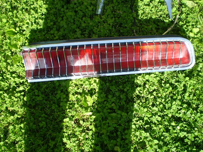 P6010020