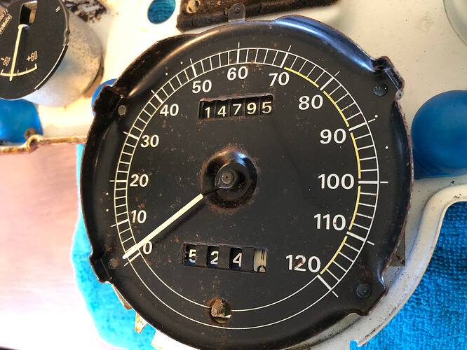 67 Speedo