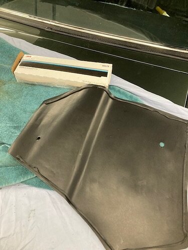 window shields sept 14 2021 a.jpg