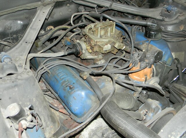 Ohio Cougars 023.jpg