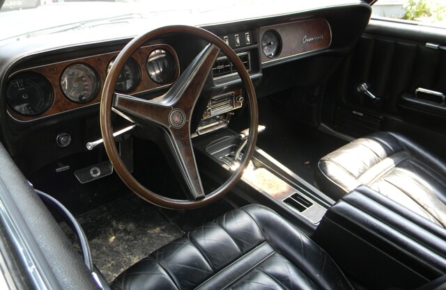 Ohio Cougars 006.jpg