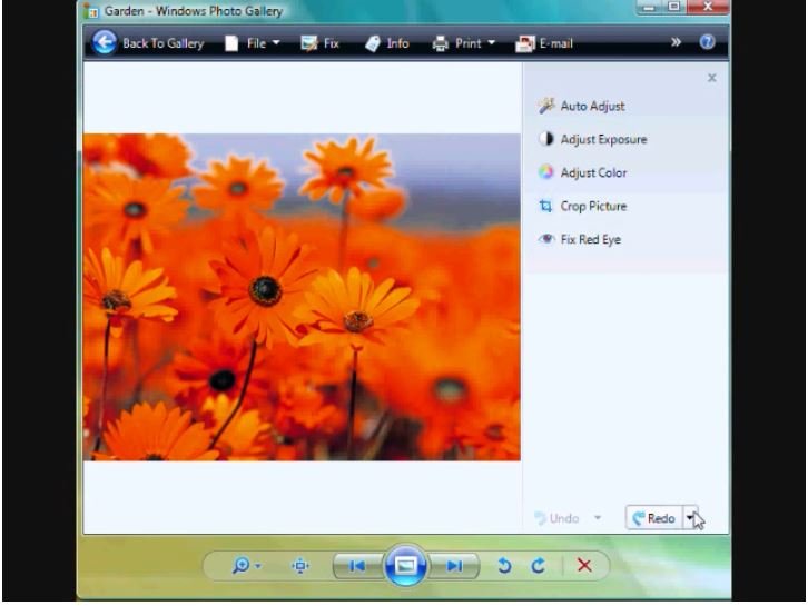 Windows 7 photo gallery.JPG