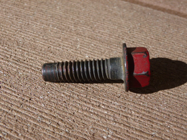 P1000513.JPG