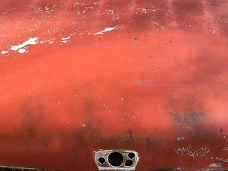 Trunk 2.jpg