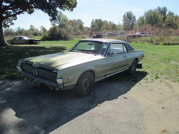 Ray 68 x 2.jpg