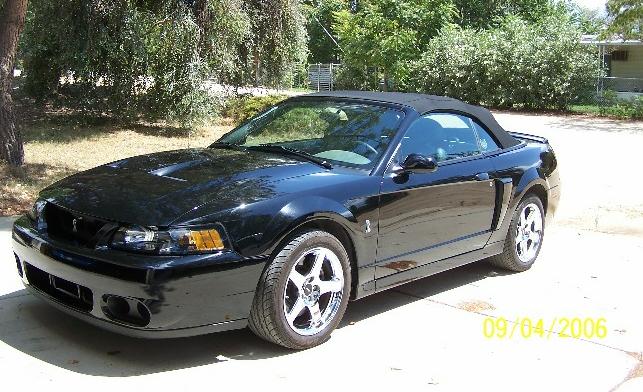 04 Cobra 001sm.jpg