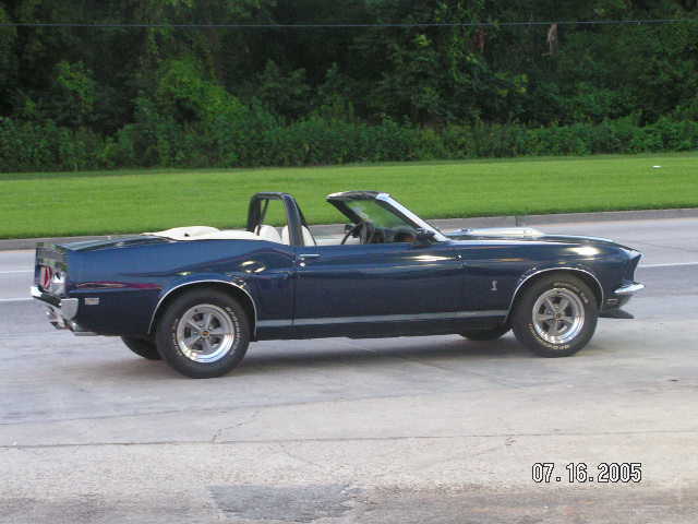 Mystang 013.jpg