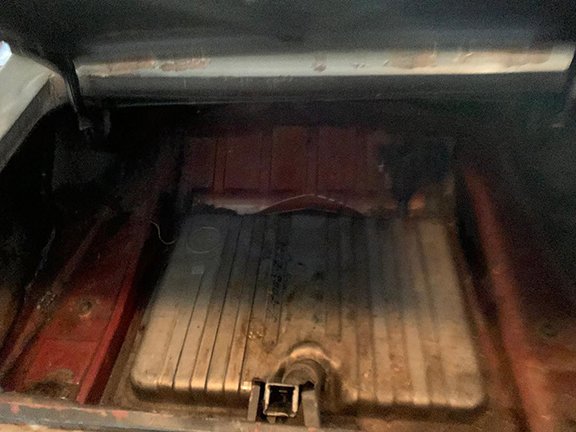 trunk2.jpg