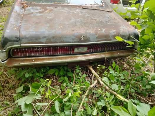 69 cougar rear.jpg